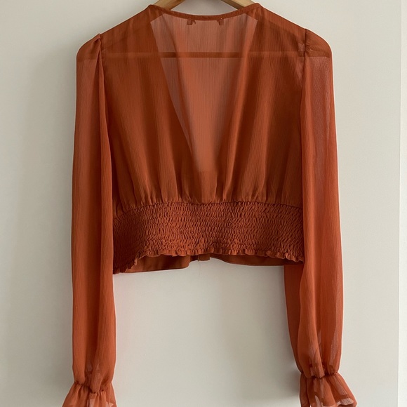 Sheer Long Sleeve Crop Top - Picture 6 of 6